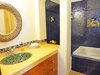 Guest bathroom with tiled shower.